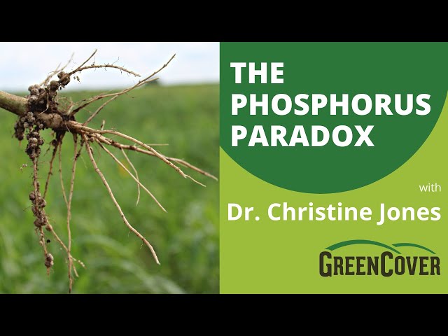 "The Phosphorus Paradox" with Dr. Christine Jones (Part 2/4)