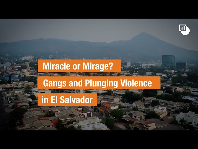 Miracle or Mirage? Gangs and Plunging Violence in El Salvador