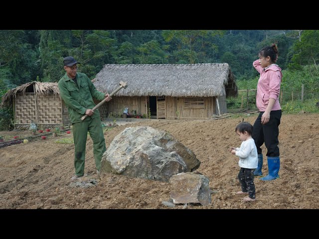 Cleaning the Garden, Growing Vegetables, Family Farm | EP. 11