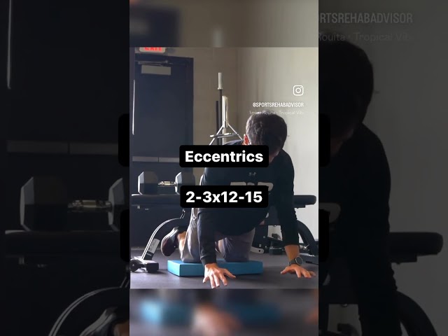 Nordic Hamstring Exercise Progressions