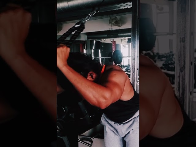 Bodybuilding Book 📖 2025 Day-52/365 Bi/tricep workout #fitness #shots #viralvideo #motivation