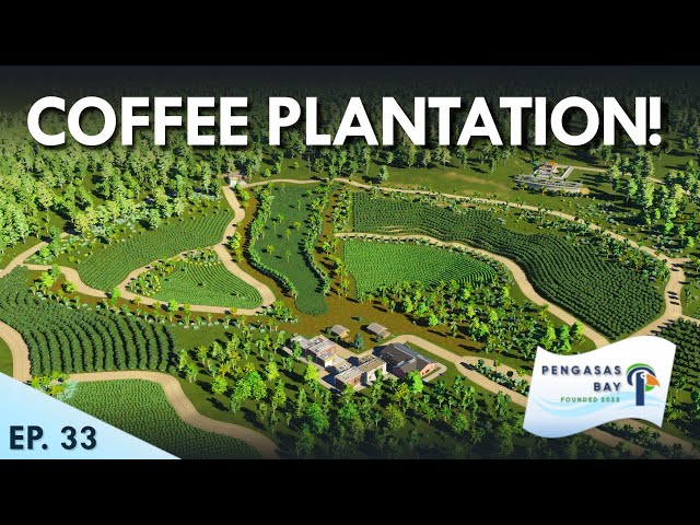 BREATHTAKING Coffee Plantation! | Ep 33 Pengasas Bay | Cities Skylines 2