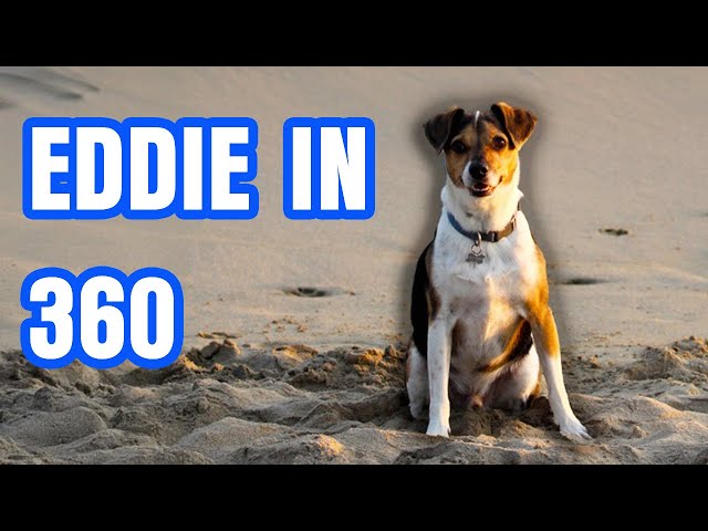 EDDIE's 360° Debut: His First Time in Full View!