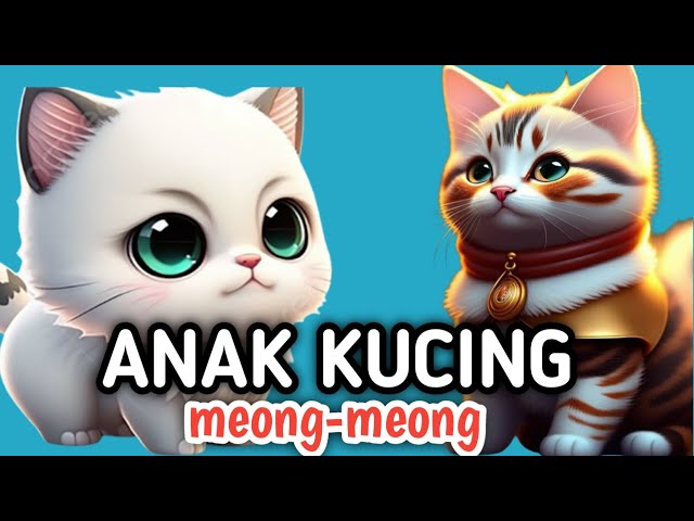 ANAK KUCING MEONG MEONG - LAGU ANAK ANAK - LAGU ANAK INDONESIA POPULER // YOYOYO KIDS