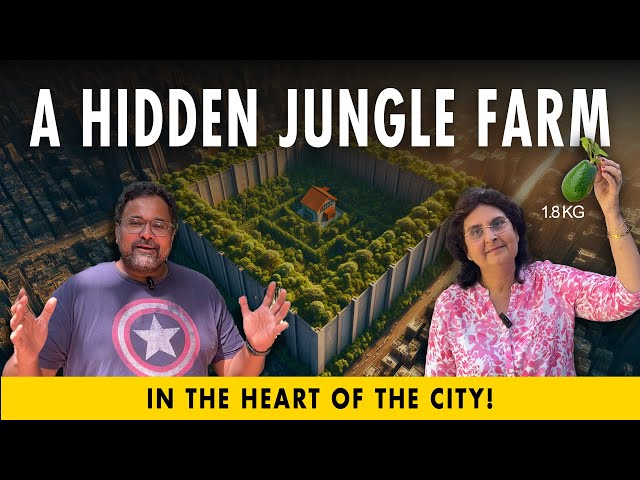 A Hidden Jungle Farm in the Middle of the City!