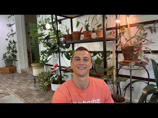 Garden Update July 2022 #houseplants #garden