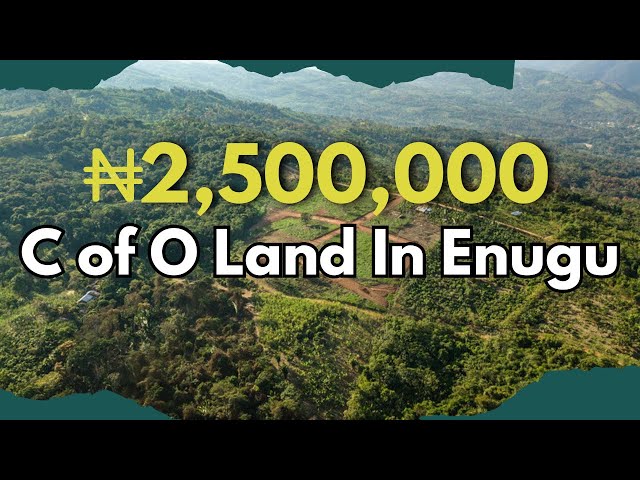 Own Land in one of the FASTEST DEVELOPING Neighborhood in ENUGU || 2.5M C of O Eastern Homes Estate