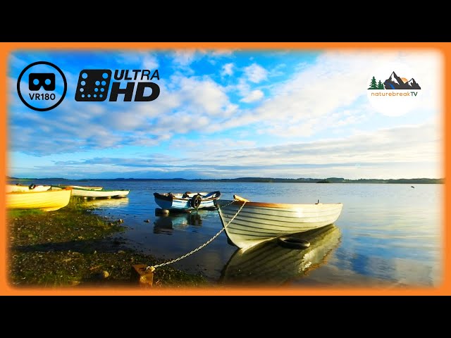 RELAX at Lough Owel 😌 LOVELY VR180 Nature Meditation | Serene Lakeside Ambience & Tranquil Sounds