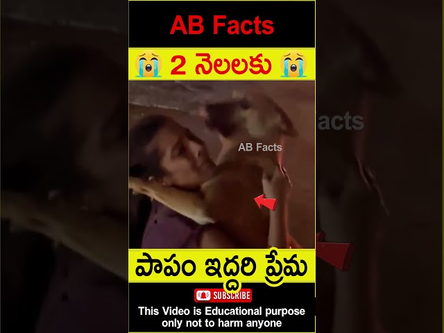 😭2 నెలలకు😭 Lady spotted her missing dog after 2 months #telugufacts #shorts #youtubeshorts #abfacts