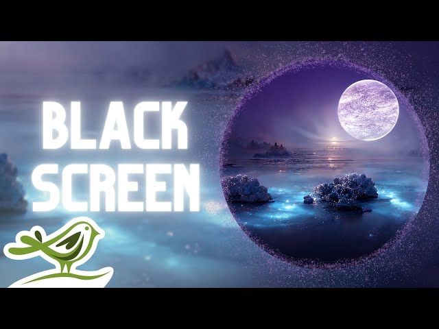 Moonlight | 12 Hours of Deep & Relaxing Sleep Music with Black Screen