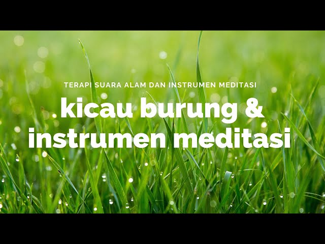 TERAPI SUARA ALAM, SUARA KICAU BURUNG DAN MUSIK INSTRUMEN MEDITASI DAPAT MERELAKSASI JIWA