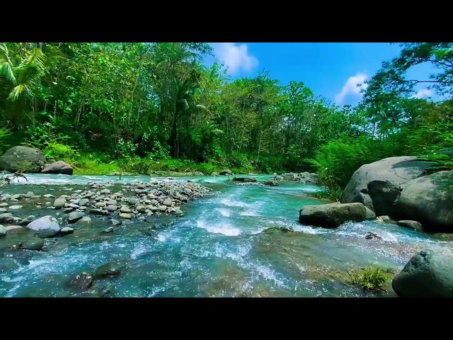 Nature Sounds For Insomnia, Sleep, Stress Relief, Beautiful Mountain River Flow, Forest Sounds