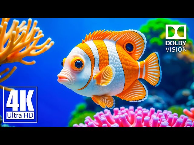 Ocean 4K ULTRA HD - Peaceful Ocean Views - Soothing Sounds for Restful Sleep