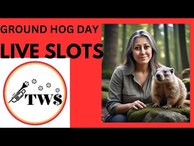 Slot Adventure! #travel #fun #shortvideo  #fyp #groundhogsday He saw his #shadow