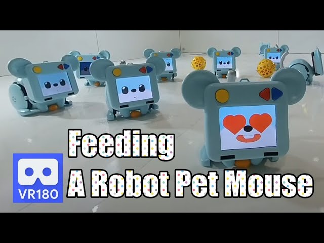 3D 180VR 4K Feeding a Robot Pet Mouse   It's So Cute