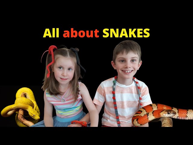 Interesting Facts About SNAKES for kids! How to Build Lego Snake - Easiest LEGO DIY - Speed build