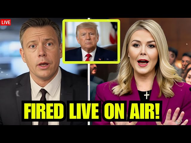 Liberal TV Host Shut Down & Fired By Karoline Leavitt After Shocking Comments About Donald Trump