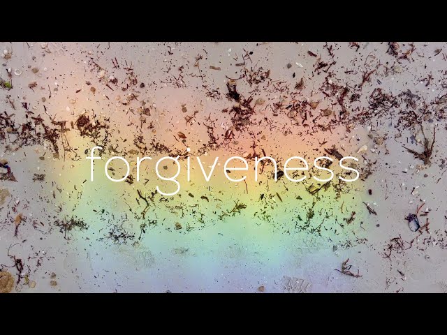 "Forgiveness" by Maria Popova (read by Nick Cave)