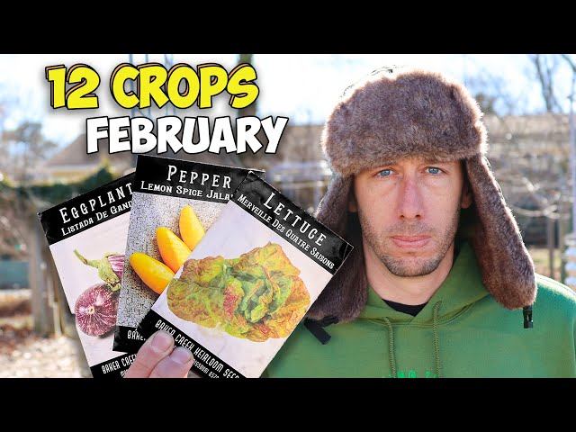 12 Crops You'd Be Foolish Not to Plant in February