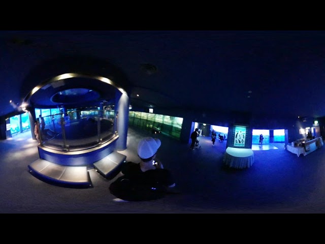 Sea Paradise - Aqua Theater 360 - 6