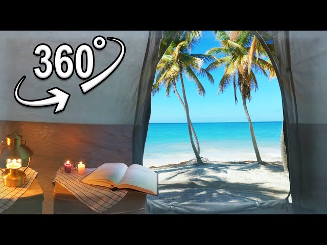 Healing Camping in Four Seasons | VR 360°