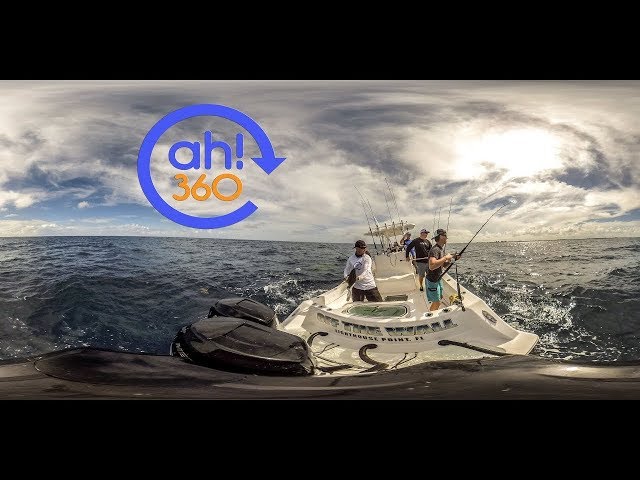 Off The Wall Fishing Team Reels In Mahi Mahi With RJ Boyle By ah360