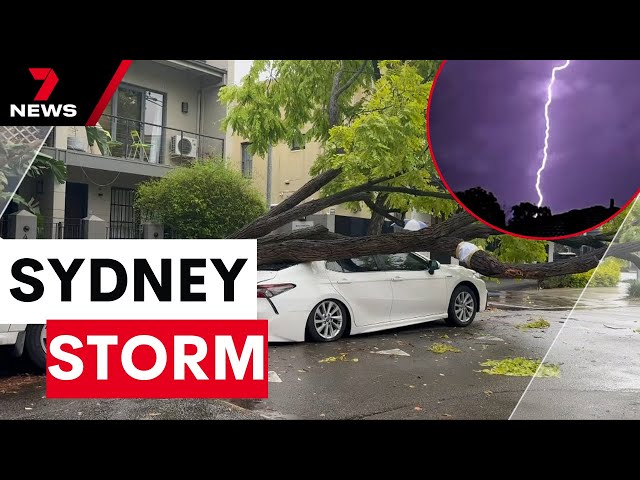 Severe thunderstorm damages homes across Sydney and NSW | 7NEWS