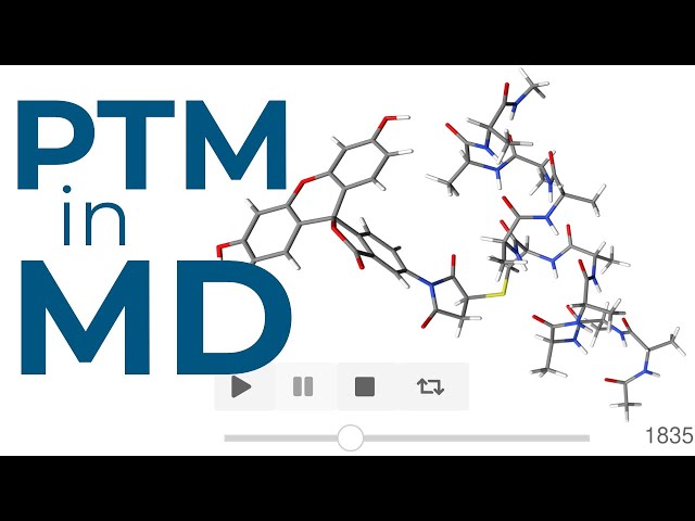 Biopolymer showcase with non-canonical amino acid - 5th Open Force Field Workshop (2022)