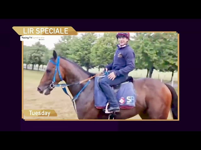 Lir Speciale runs in the 3.50 Rudding Park Handicap at Thirsk today!