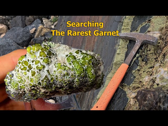 Hunting Demantoid, the Rarest Garnet ｜Minerals of Valmalenco