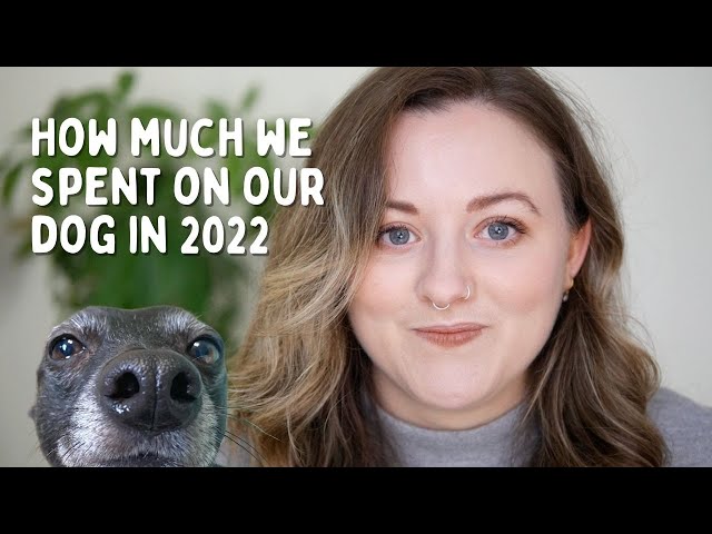 Everything we spent on our dog in 2022