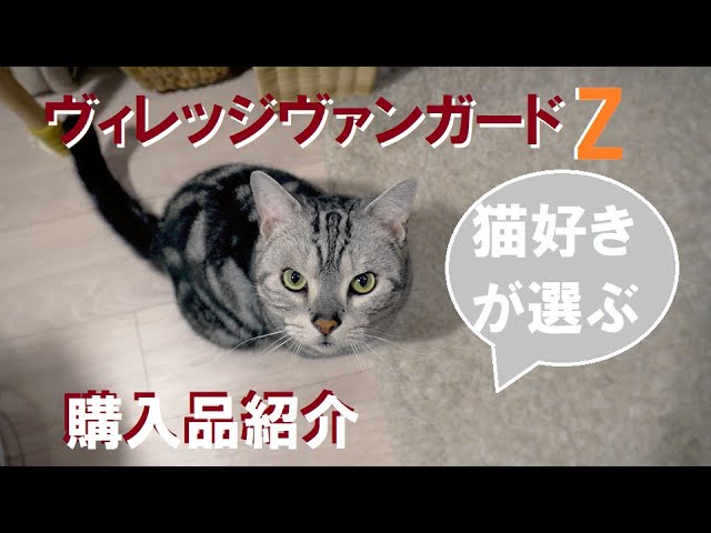 【ヴィレヴァン】猫好きが選ぶ購入品【アウトレット】