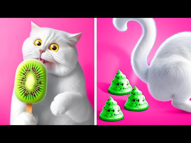 Hacks VS Gadgets for Cute Kitty-Cat🐾 Cats 10+ Crafts You Should Try As A Pet Owner by 123GO!