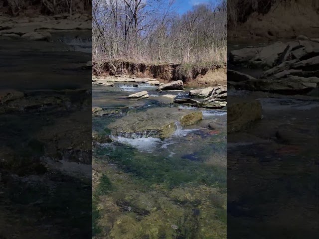 Calming - Babbling Brook Sound Bath