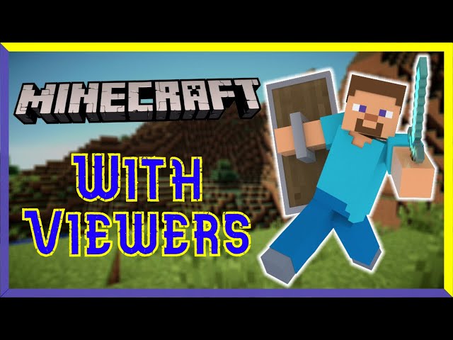 Minecraft Server With Viewers