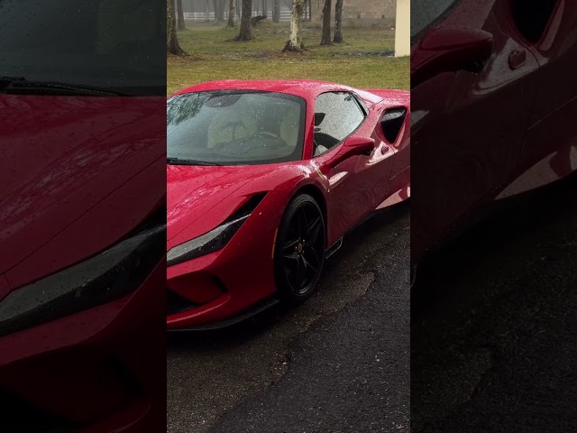 Carinakopf shares her new Ferrari