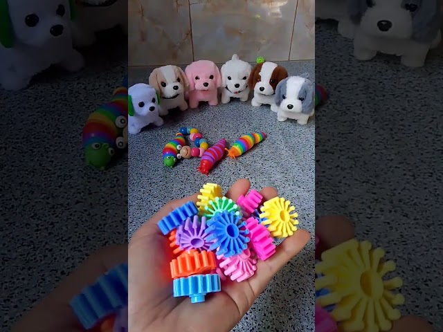 Rainbow 🌈 Super Satisfying Reverse video ASMR soud 🌈🐕🐕‍🦺🐩🦮🐕‍🦺