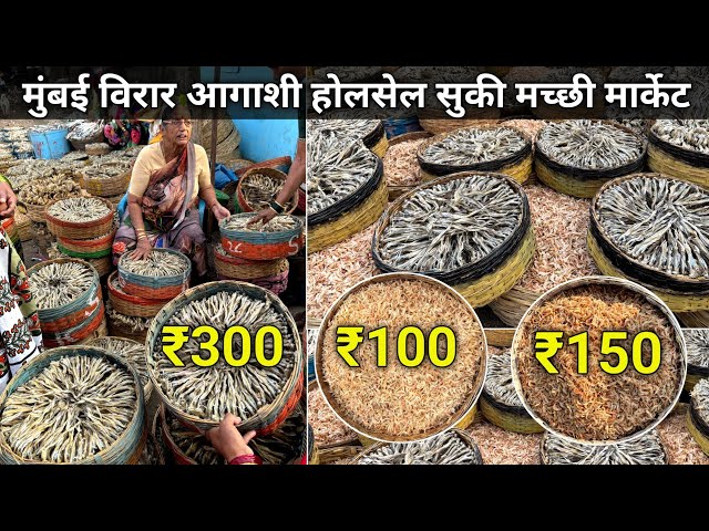 Mumbai Virar Dry Fish Market | Virar Agashi Dry Fish Market | Mumbai Wholesale Dry Fish Market