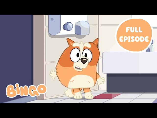 Bingo at the Movies 🍿 🧡 | Bluey Full Episode | Bingo - Official Channel