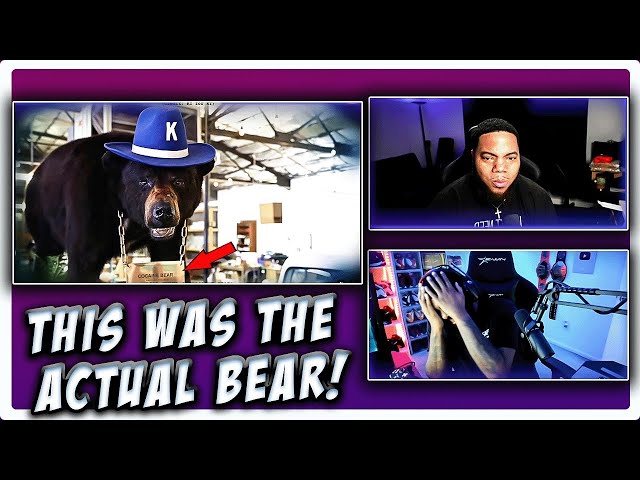 INTHECLUTCH REACTS TO: The INSANE, TRUE story of Cocaine Bear