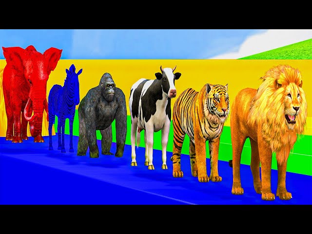 Paint Lion Tiger Elephant Cow Gorilla Crossing Fountain Animal Game