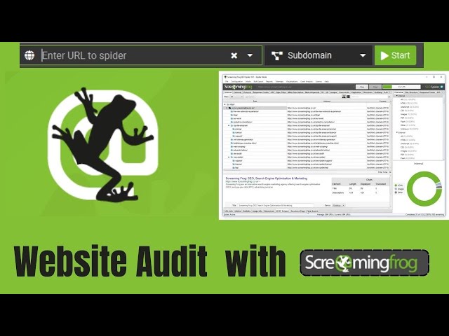 Screaming Frog Tutorial 2025 in Hindi | Basic SEO Audit With Screaming Frog Spider Tutorial 2025