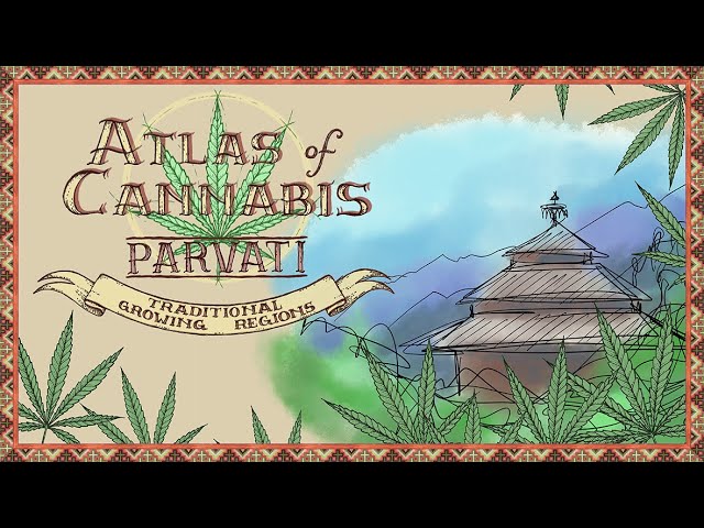 Atlas of Cannabis: Parvati Valley | Malana | India