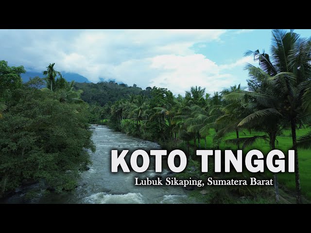 KOTO TINGGI | One Day in a Village When the Rice is Green | Pasaman, West Sumatra, Indonesia