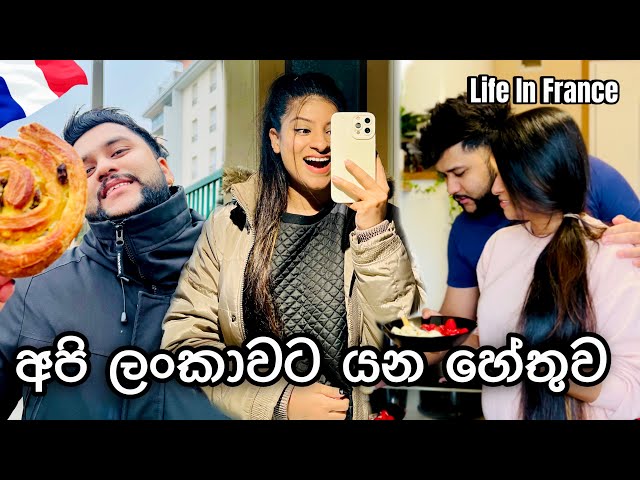 අපි ලංකාවට එනවෝ🇱🇰| අපි බලන Youtube චැනල් වල නම්?😱| Grocery Shopping 🇫🇷| #anneyelina  #trending #vlog