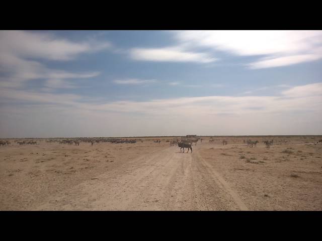 Namibia Etosha WaterHole1