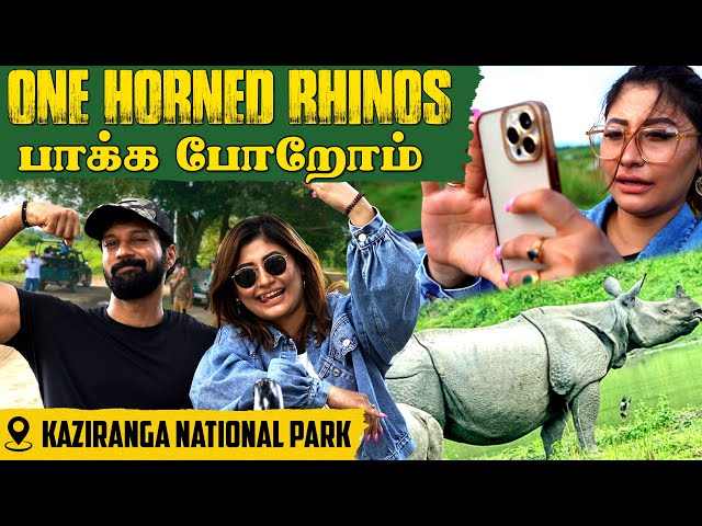 எங்கட Tiger-அ காணோம்😱 | Wild Safari ❤️| Kaziranga National Park 🦏 | Sunita Xpress