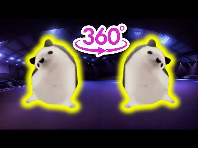 🔥 Mother Father Gentleman Hedgehog Dancing VS ZOONOMALY Scary Dance VS Digital Circus VR 360 Video