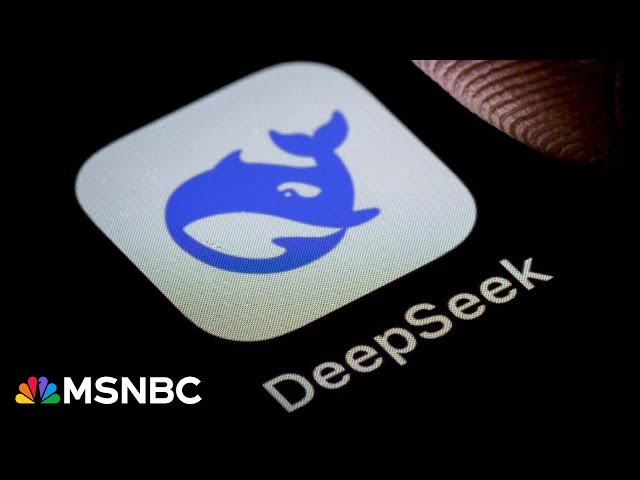 What is DeepSeek? Lawmakers trying to ban Chinese AI app from govt. devices