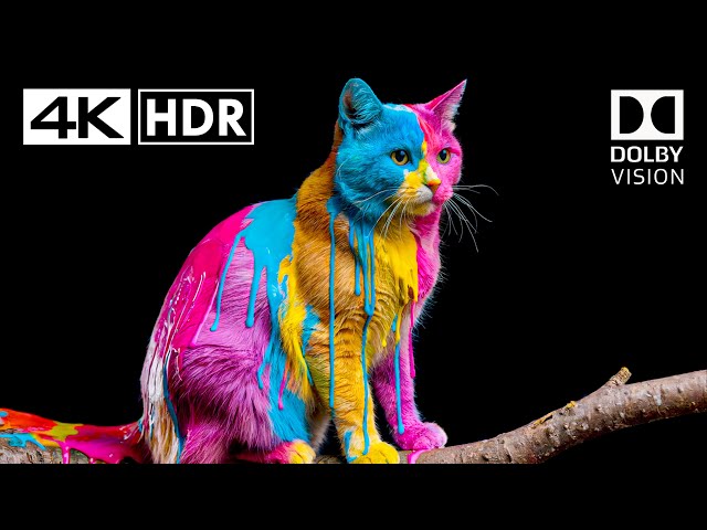 Fabulous Dolby Vision Demo 4K HDR 60fps - 4K Video ULTRA HD